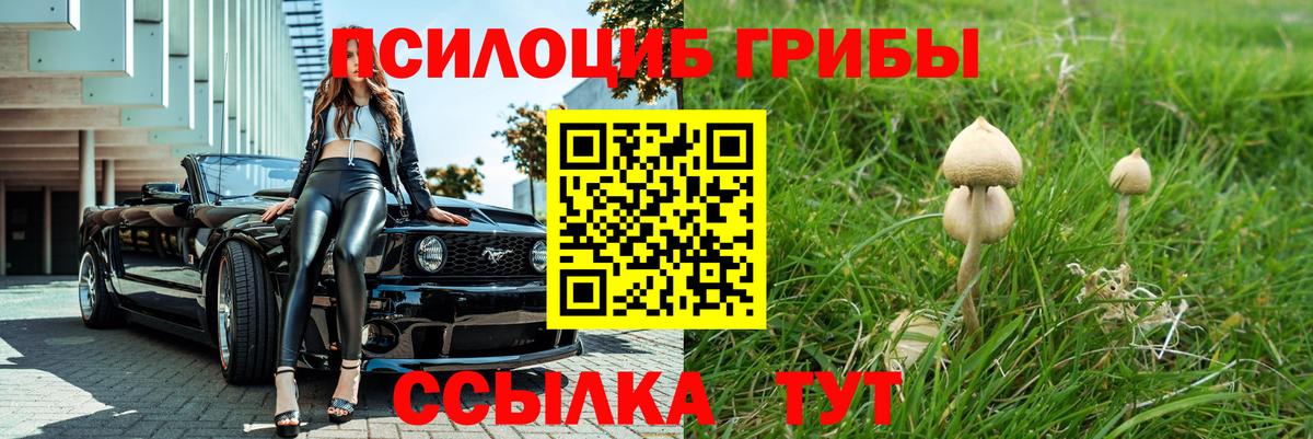 Псилоцибиновые грибы мухоморы Тобольск