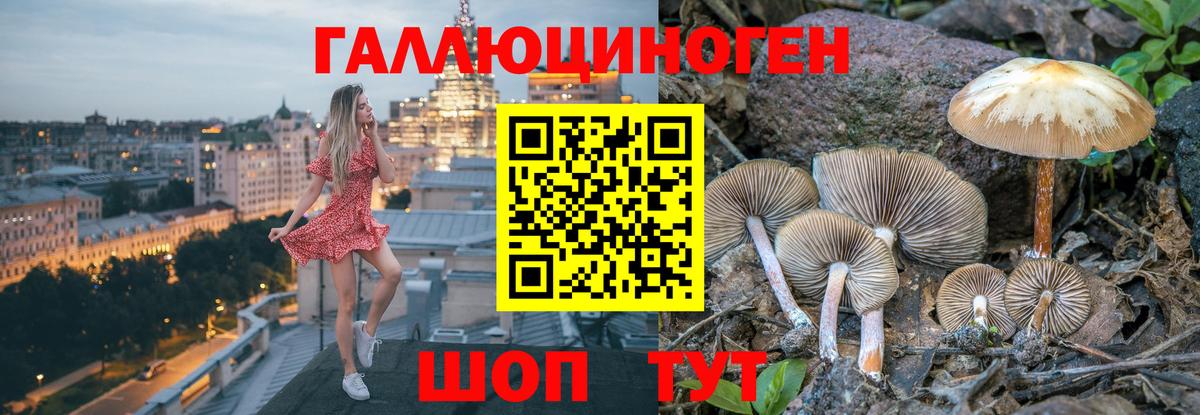 Тобольск  Галлюциногенные грибы Psilocybe  Вход с VPN  Галлюциногенные грибы мицелий 